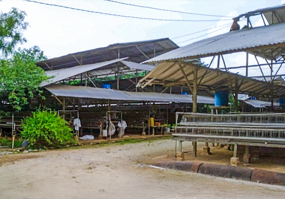 TANAH DI KAB. BANYUASIN - NPL435-3 - foto 5